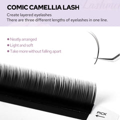 Lashmer Comic Camellia Lashes Mix Tray (20 Lines) - Lashmer