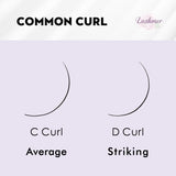 C, D Curl--New 10D Pointy System Narrow Fans Promade Fans - 16 Lines - 384 Fans - Lashmer