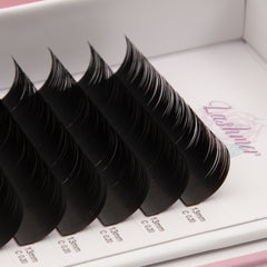Matt Black Flat Lashes (0.15/0.20) D Curl - Lashmer