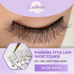 ACOS Pandora style Lash Art Course - Lashmer
