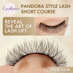 ACOS Pandora style Lash Art Course - Lashmer