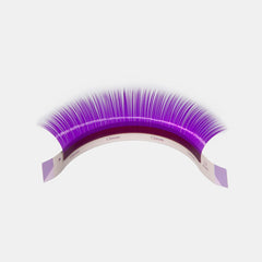 Color Volume lashes Sampler -- VIOLET Colour (5 lines) - Lashmer