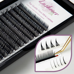 Premade Wet Look Lashes | Lashmer | C, D Curl - Lashmer