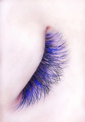 Color Volume Eyelashes D Curl (0.07) - Lashmer Nails&Eyelashes Supplier