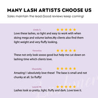 Lashmer Premade Fans Sampler — 6x Mixed Trays