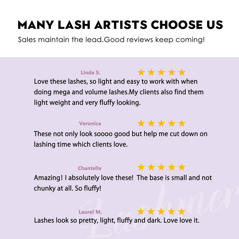 Lashmer Premade Fans Sampler — 6x Mixed Trays