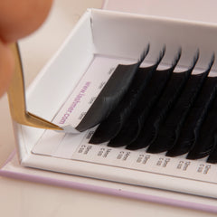 Matt Black Volume Lashes C Curl (0.03/0.05/0.07) 16 Lines - Lashmer