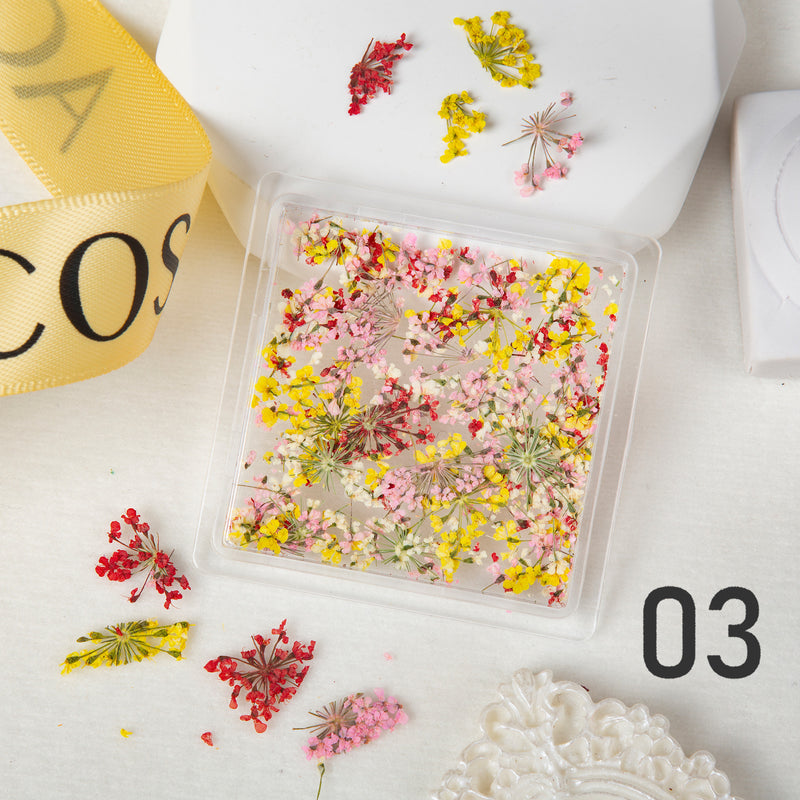 ACOS Dried Flowers Nail Art Decoration - Lashmer