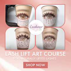 ACOS Eyelash Lift Art Course - Lashmer