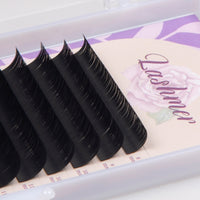 Lashmer Matt Black Volume Lashes