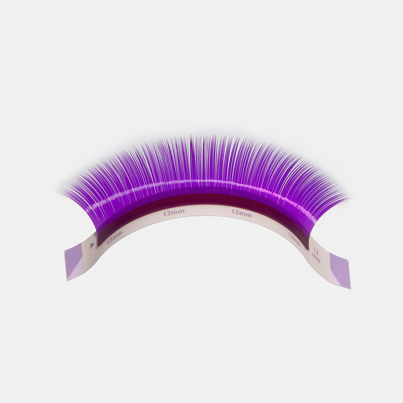 Color Volume lashes Sampler -- VIOLET Colour (5 lines)