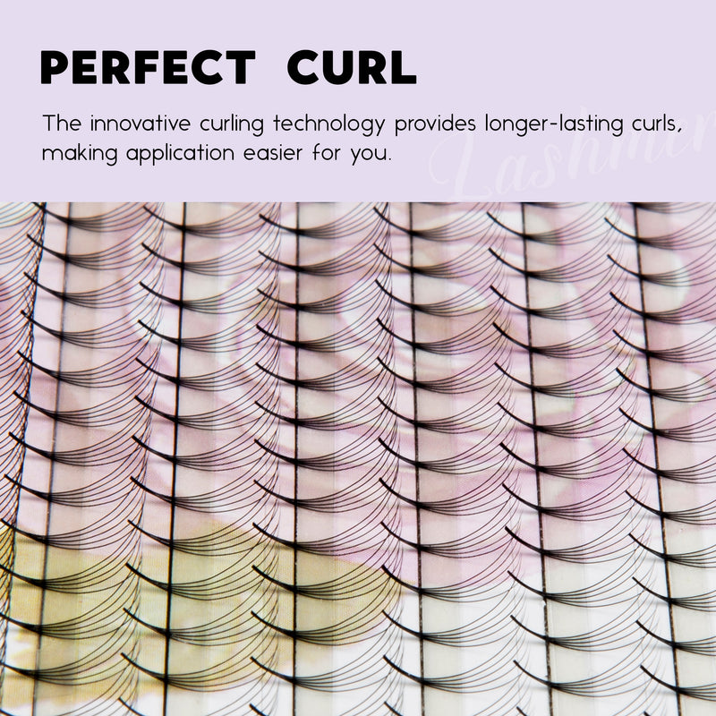 XL tray-Long Stem Premade Fans | Lashmer | C, D Curl--6D(thickness 0.10) - 16 Lines - 320- Fans, Ultra Black